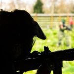 Terror attack foiled in Central Israel: Wanted terrorist captured in Sharon region