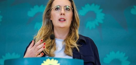 Grüne wollen Abwrackprämie für Heizungen und ein 9-Euro-Ticket