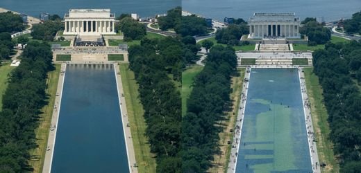 Donald Trump und sein Reflecting Pool: Von Königsblau zu Algengrün Donald Trump und sein Reflecting Pool: Von Königsblau zu Algengrün