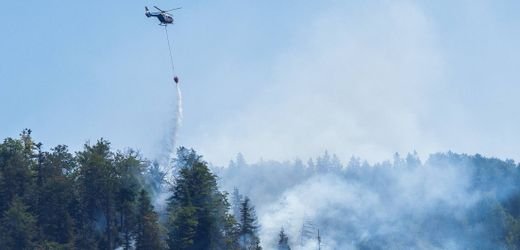 Chiemgau: Waldbrand gelöscht – Katastrophenfall endet
