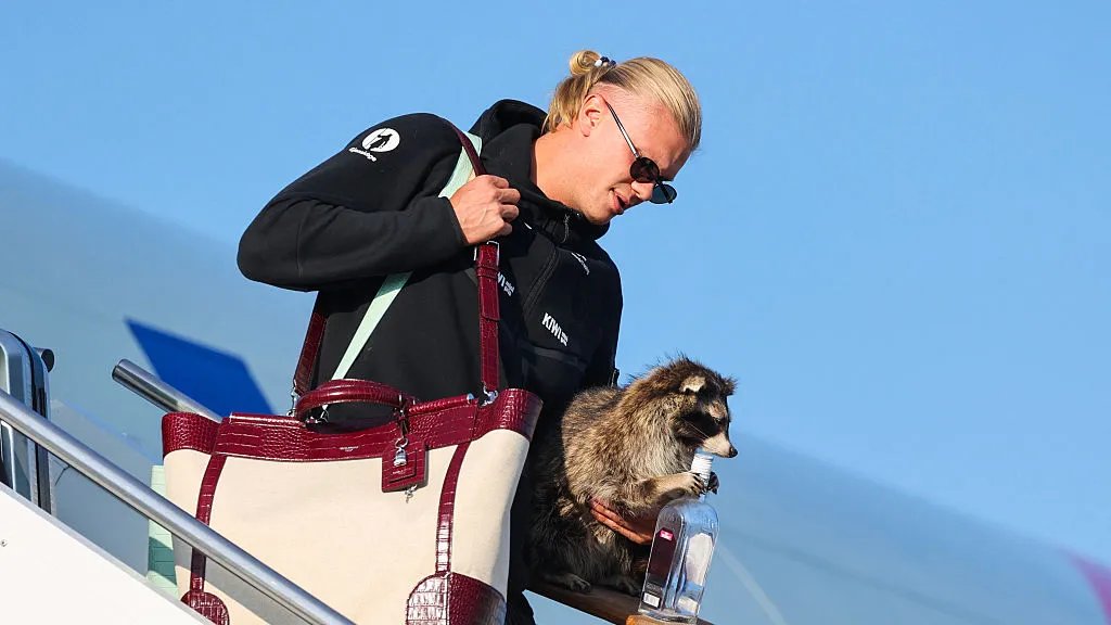 Eine Seltenheit: Die neue Tasche von Erling Haaland ist noch außergewöhnlicher als der Waschbär auf seinem Arm