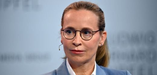 Frauke Brosius-Gersdorf hält AfD-Wahlprogramm in Sachsen-Anhalt für verfassungswidrig
