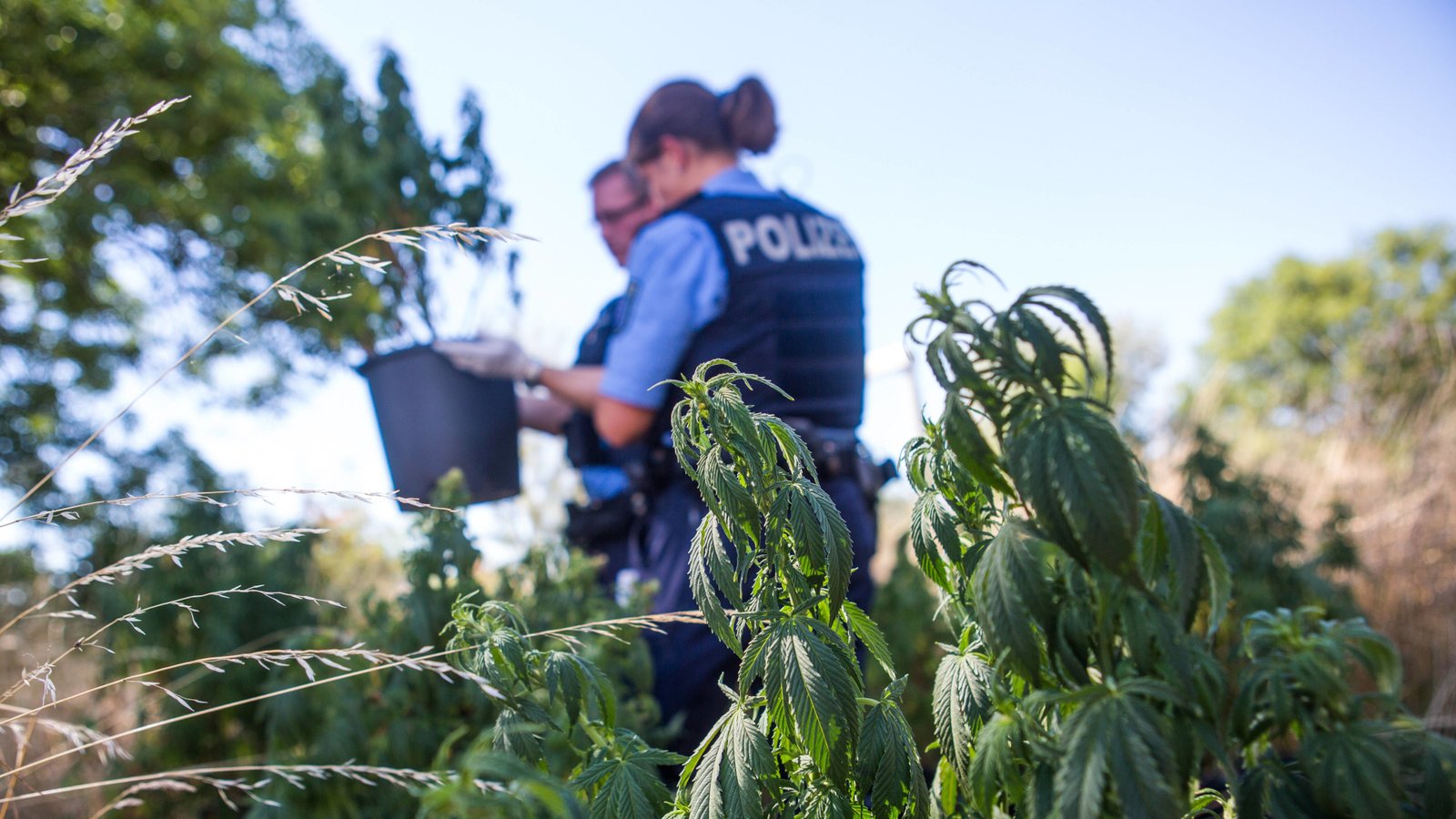 Justizstatistik 2024: Polizei hackt alle fünf Tage mit Staatstrojanern