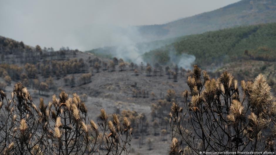 News kompakt: Großer Waldbrand nahe Madrid außer Kontrolle