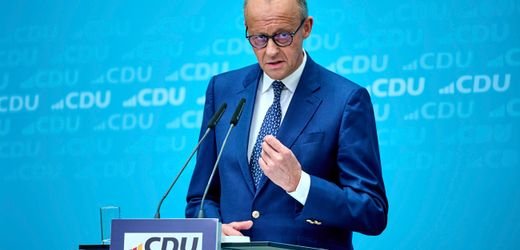 Und dann sagt der Landeschef: »Sie führen kein Unternehmen, das ist eine Partei«