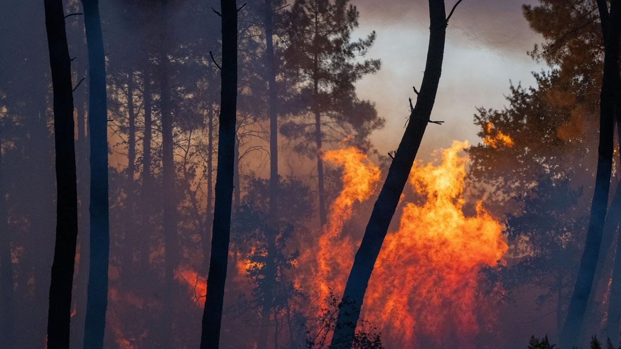 Waldbrände: Feuer in Spanien und Frankreich breiten sich weiter aus