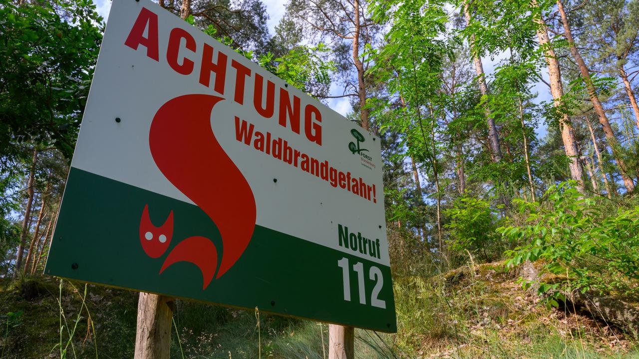 Waldbrandgefahr steigt am Wochenende teils auf höchste Warnstufe