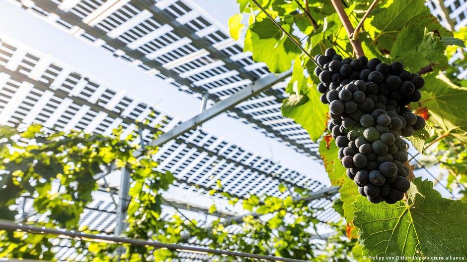 Wie Extremwetter Deutschlands Landwirtschaft verändert