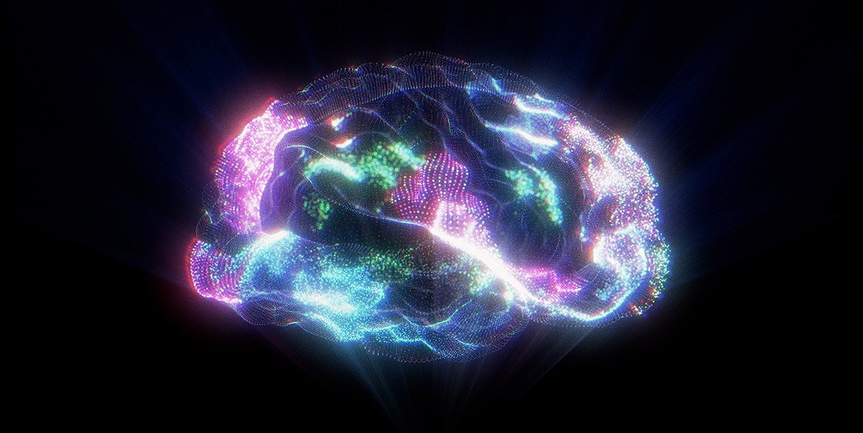 Geheimnis unserer Intelligenz gelüftet?