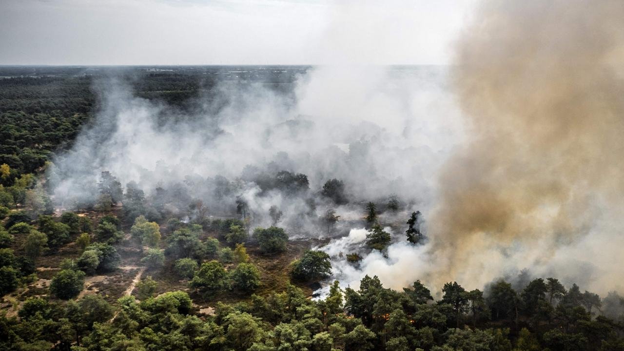Waldbrand in den Niederlanden  – Warnung vor Brandrauch in NRW